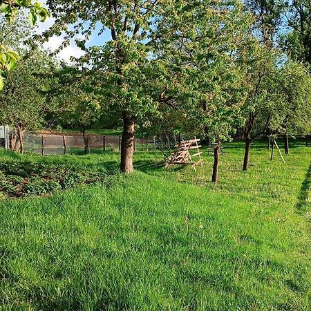 Casa De Vacanta Alina Prundul Birgaului Екстер'єр фото
