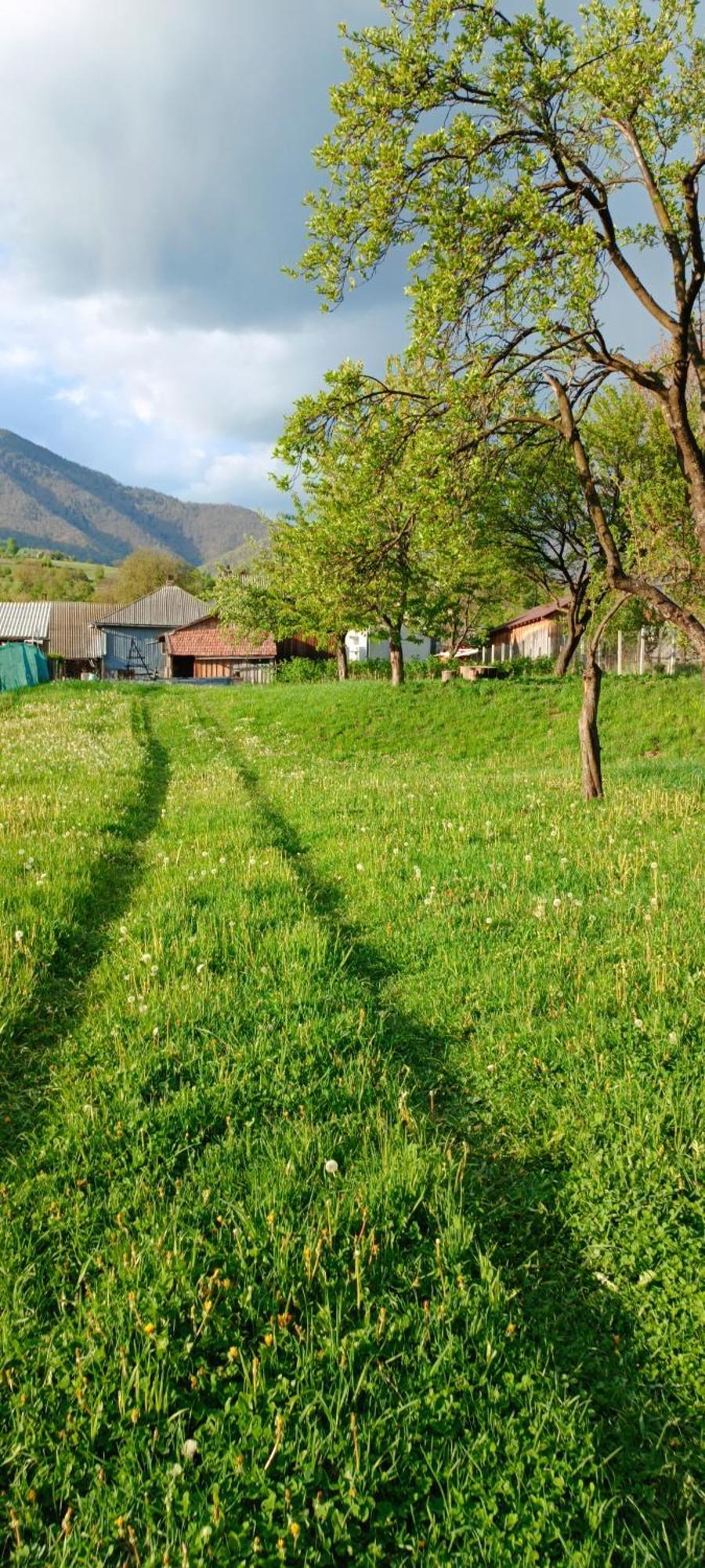 Casa De Vacanta Alina Prundul Birgaului Екстер'єр фото
