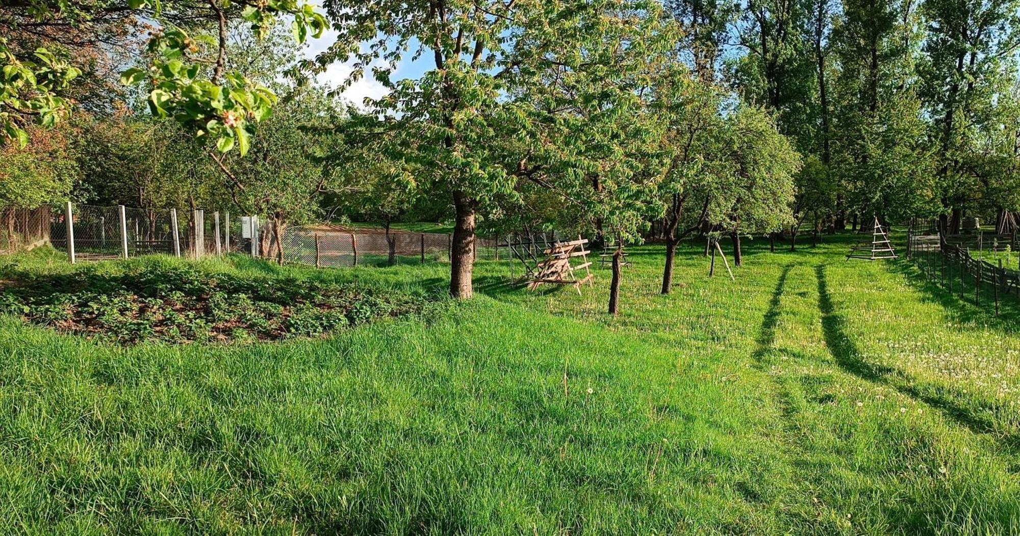 Casa De Vacanta Alina Prundul Birgaului Екстер'єр фото